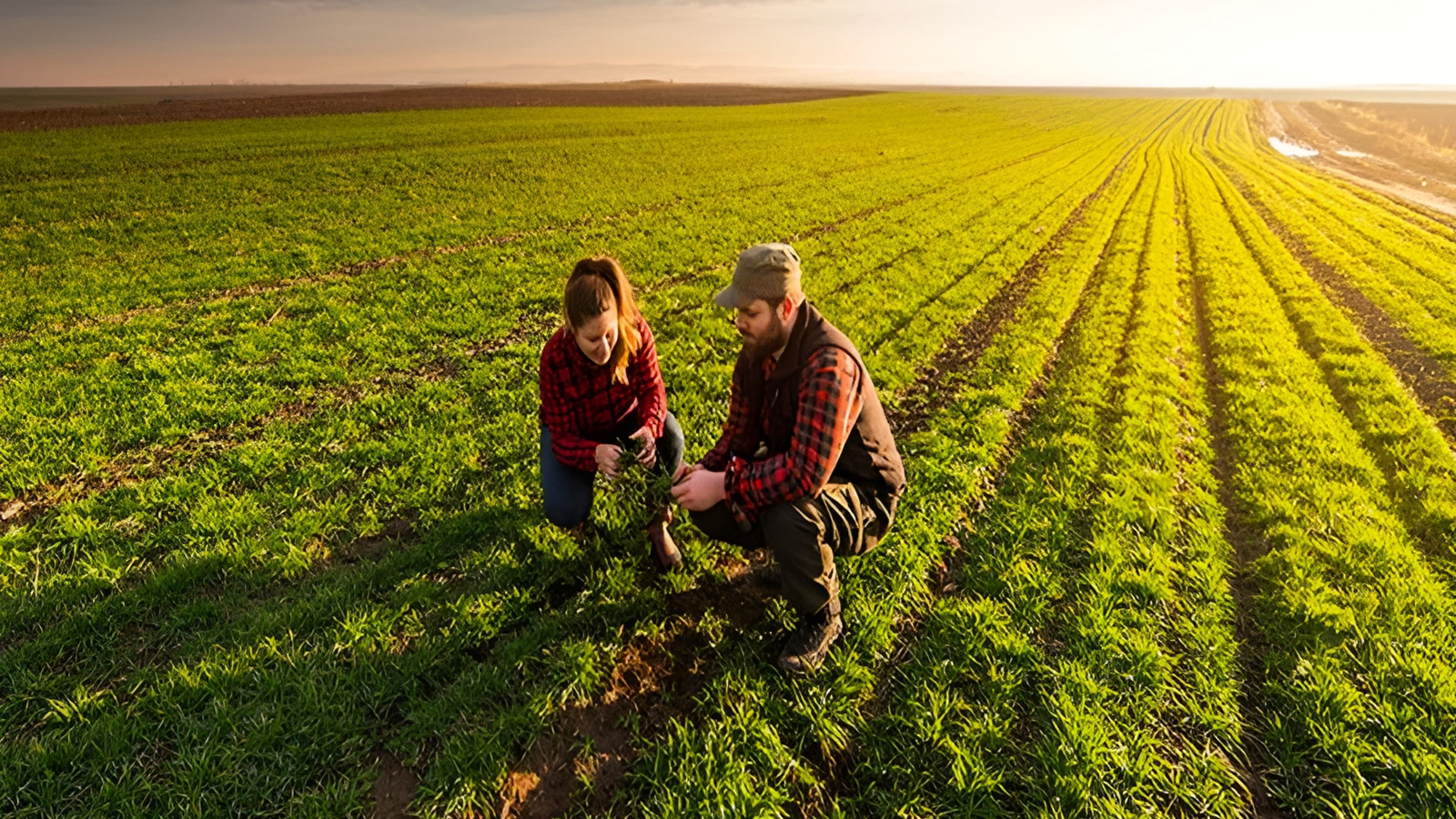 Bando “Insediamento giovani agricoltori” per le aree interne