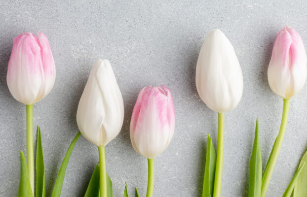 Buona Pasqua